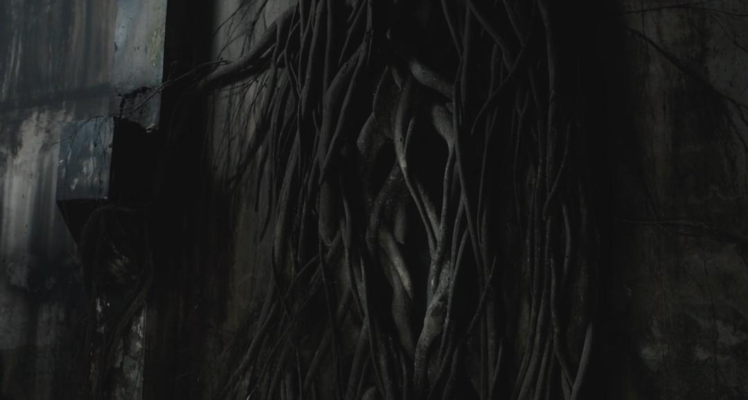 期望越大失望越大还能期望吗,期望越大失望越大也就心凉了