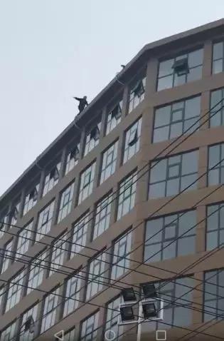 8-10℃降温+大风雨雪来袭；“抢孩子”视频网上热传！郑州民警辟谣