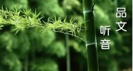 中国诗歌周刊第268期总结,中国诗歌周刊第87期