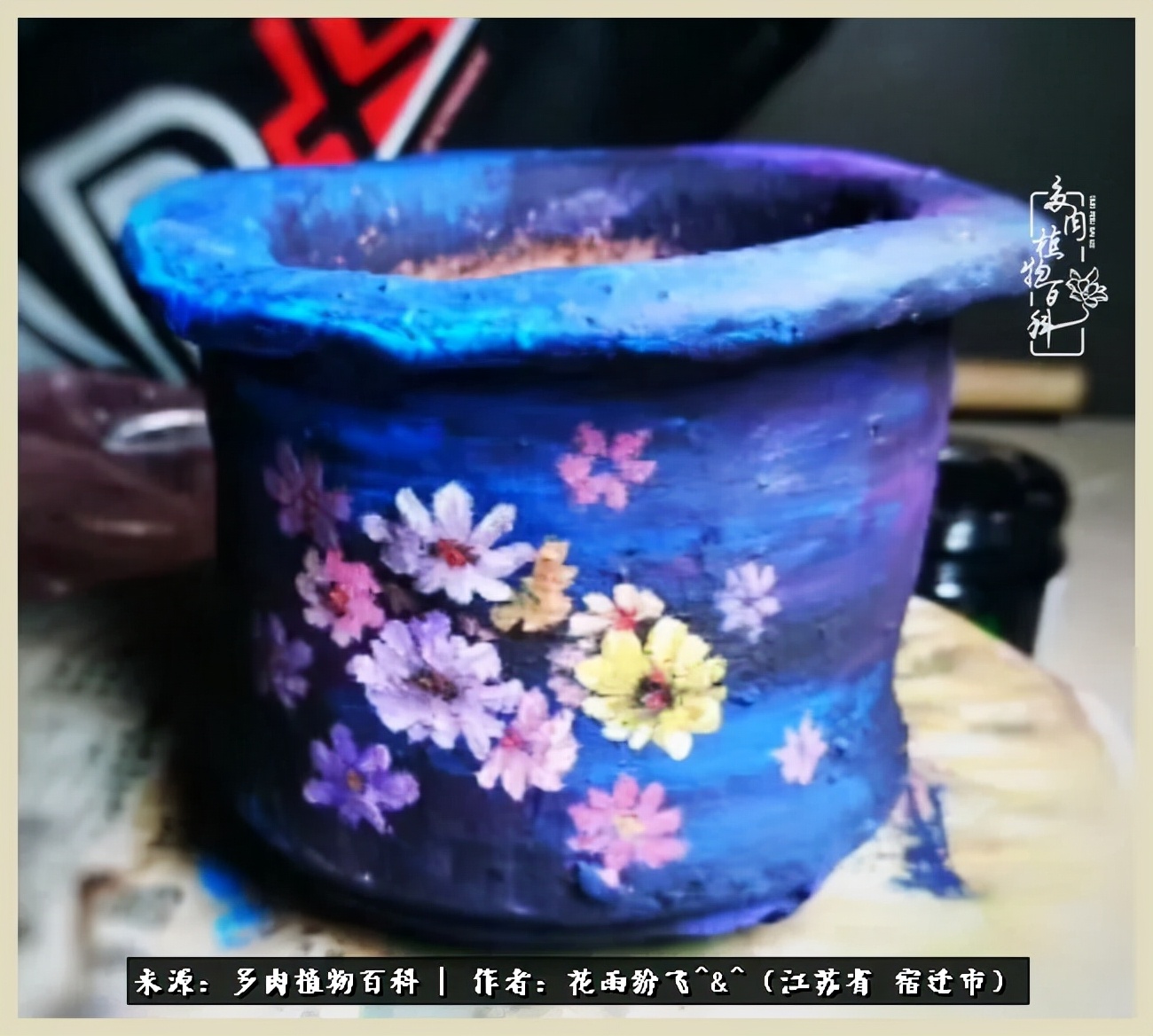 我家老臧：从反对到爱屋及乌的多肉守护人