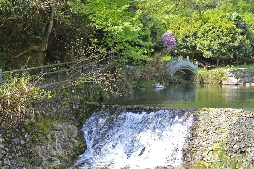 宁波避暑耍水胜地,宁波森林氧吧景区