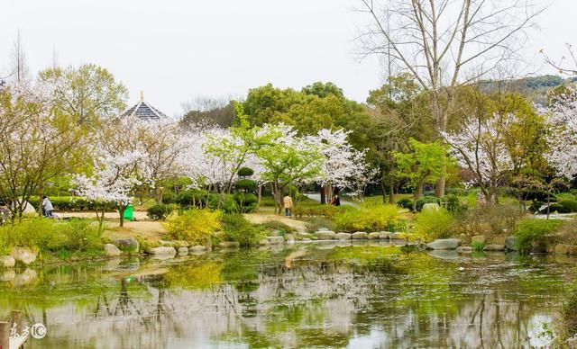 他是唐朝诗坛最后一位名家,唐朝诗人一生只留下两首诗