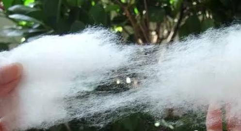 十大品牌床上四件套店铺推荐,十大品牌床上纯棉四件套