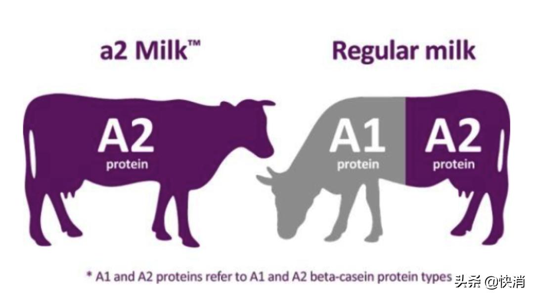 乳业巨头抢奶大战,乳企打响a2蛋白奶粉市场抢位战