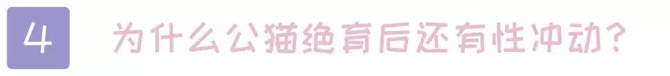 关于猫的100个冷知识和方法,3-6岁动物冷知识