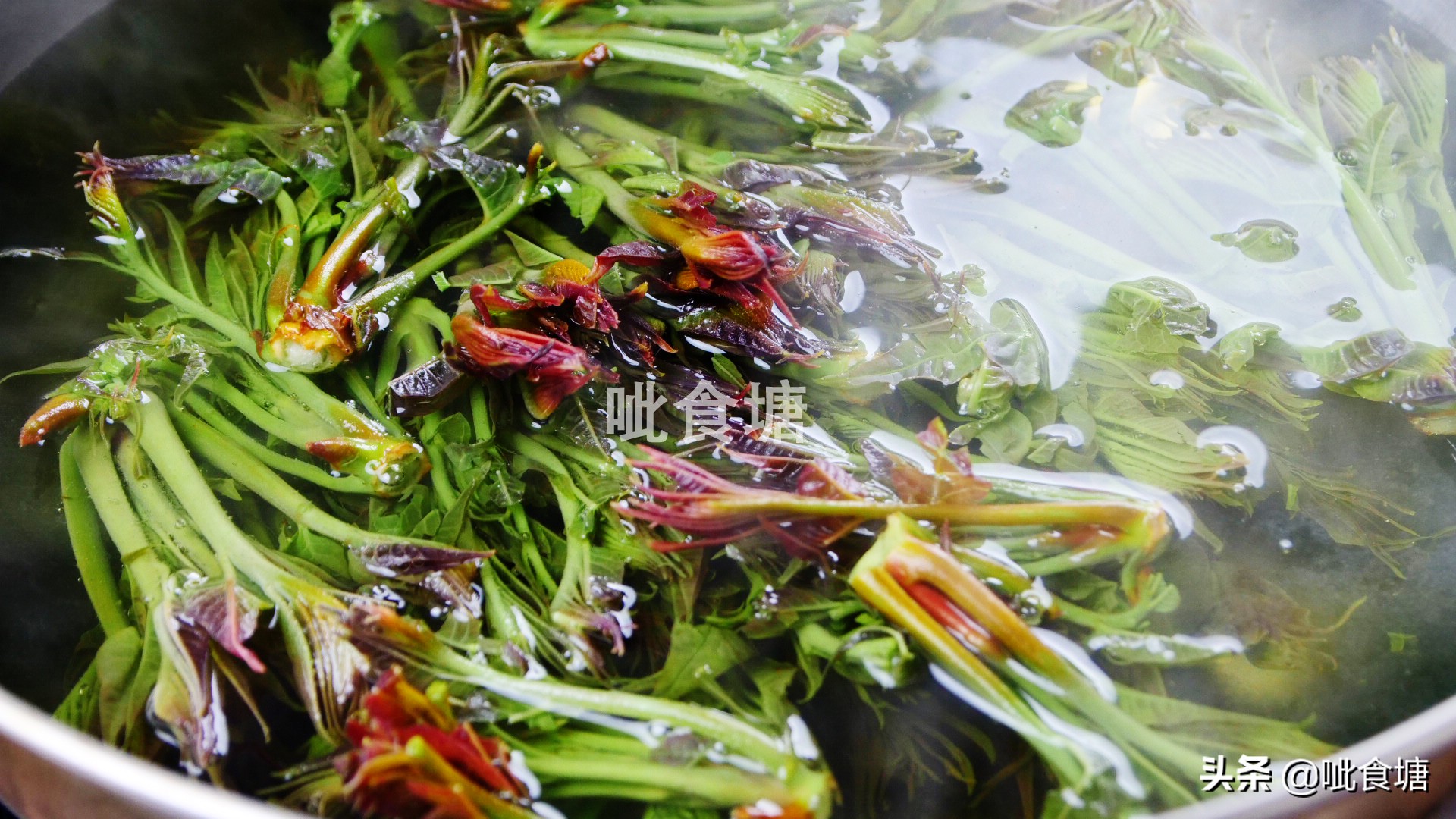 春天的香椿芽最好吃,香椿芽炒土鸡蛋图片