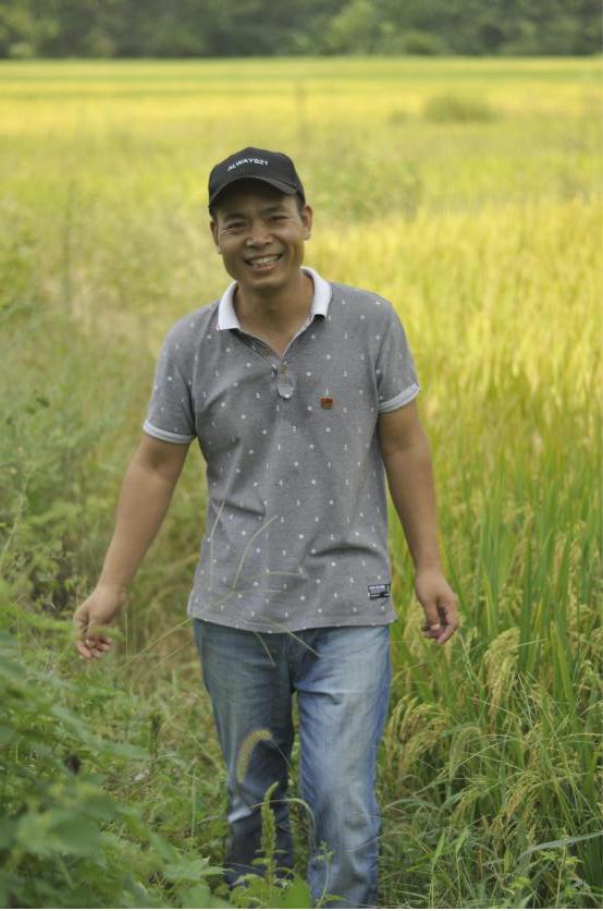 偃师如何融入洛阳中心城市,认知和蜕变