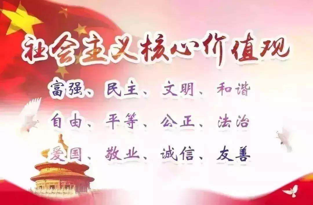 童教授最新视频,不一样的专家教授