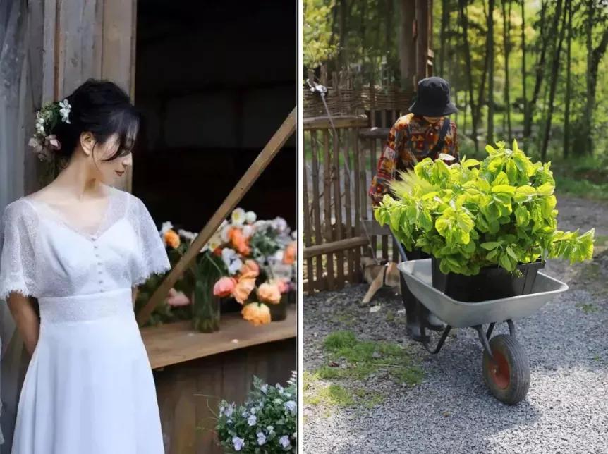 最会说情话的人全集,最会说情话的人