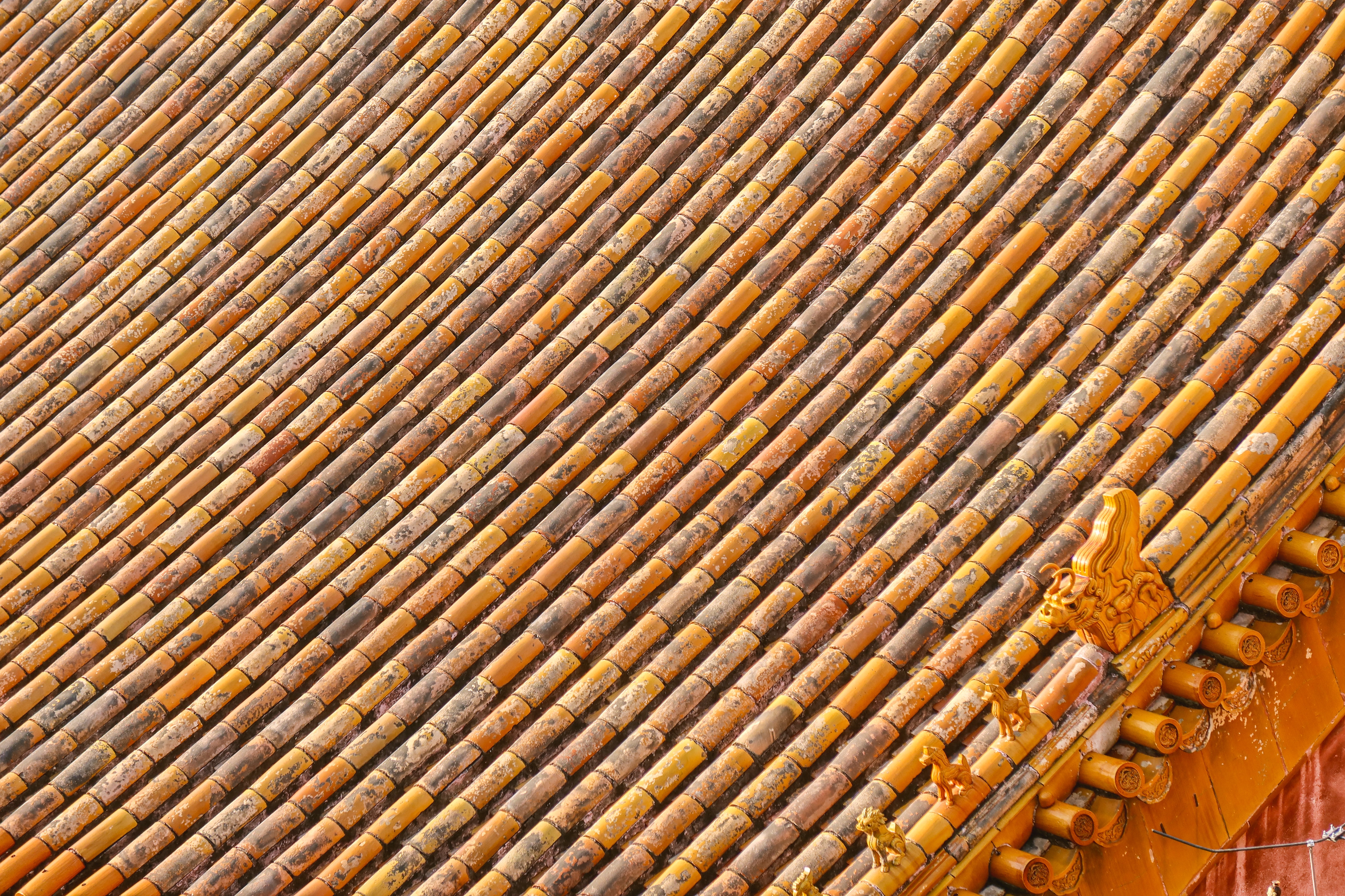 佳能g5xmarkii评测,佳能powershotg5随手拍