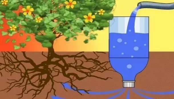 离家久如何给花浇水,离家时间比较久花儿怎么浇水