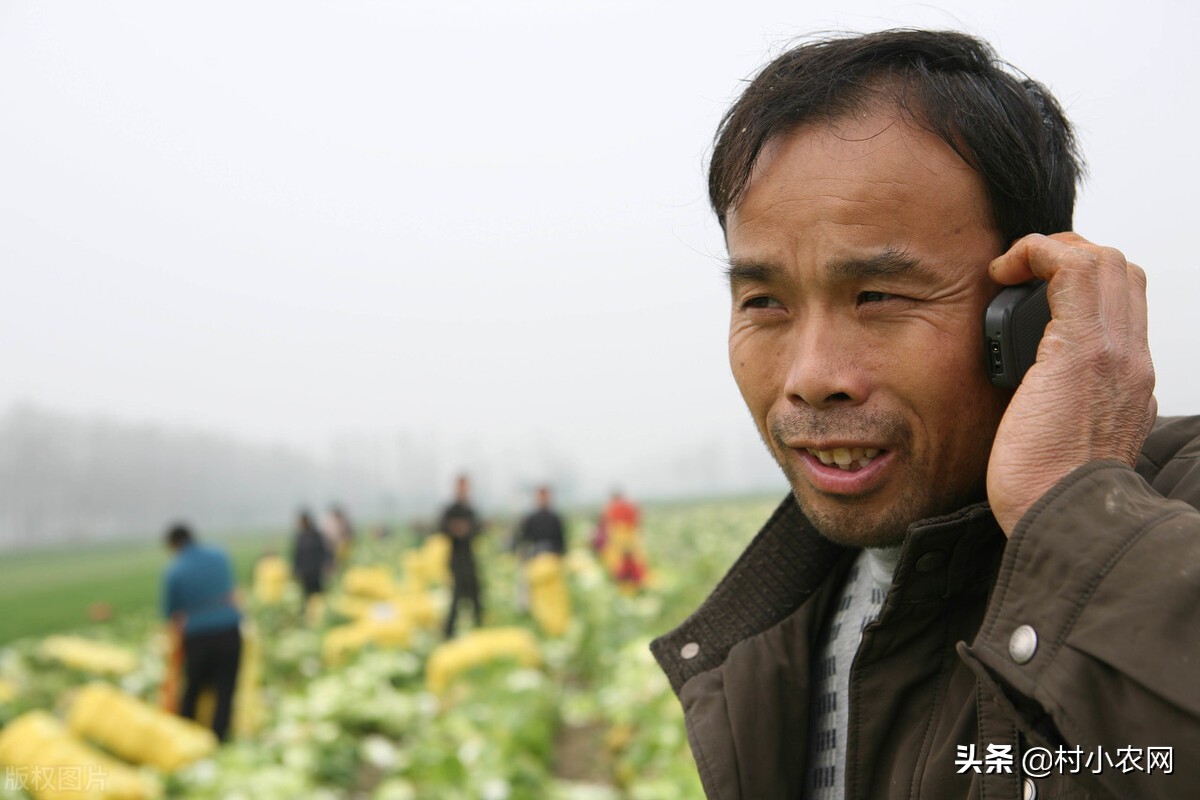 农村创业项目快速赚钱,新农村创业适合做的几个生意项目