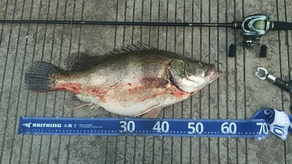 「渔获名人堂周榜」这两位粉丝钓友，你们太牛了