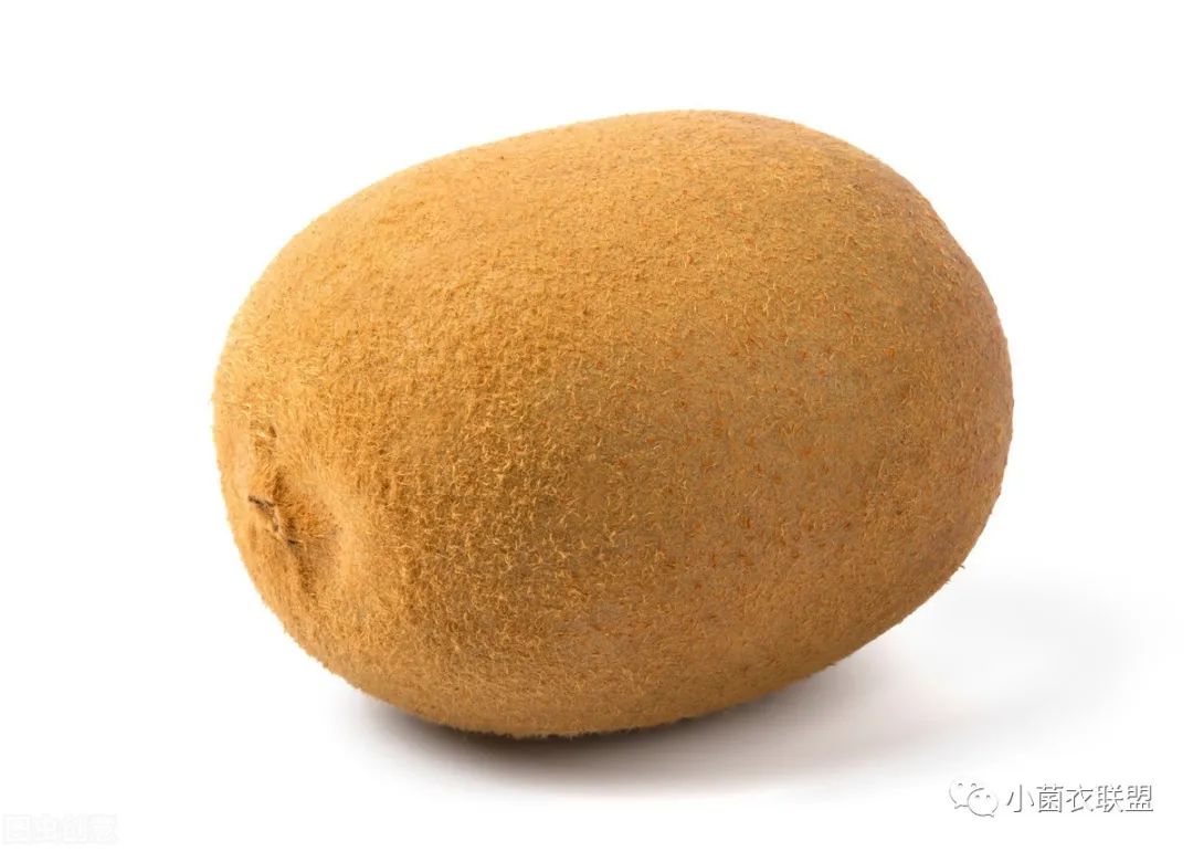 皮肤汗毛科普,皮肤疾病健康科普