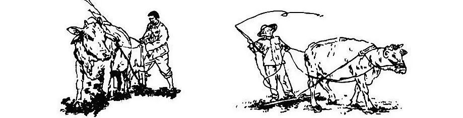 【读历史游盘锦】几许渔人飞短舟，尽载灯火归村路渤海金滩蛤蜊岗