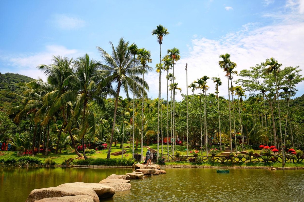 北纬18°海南,北纬十八度保亭