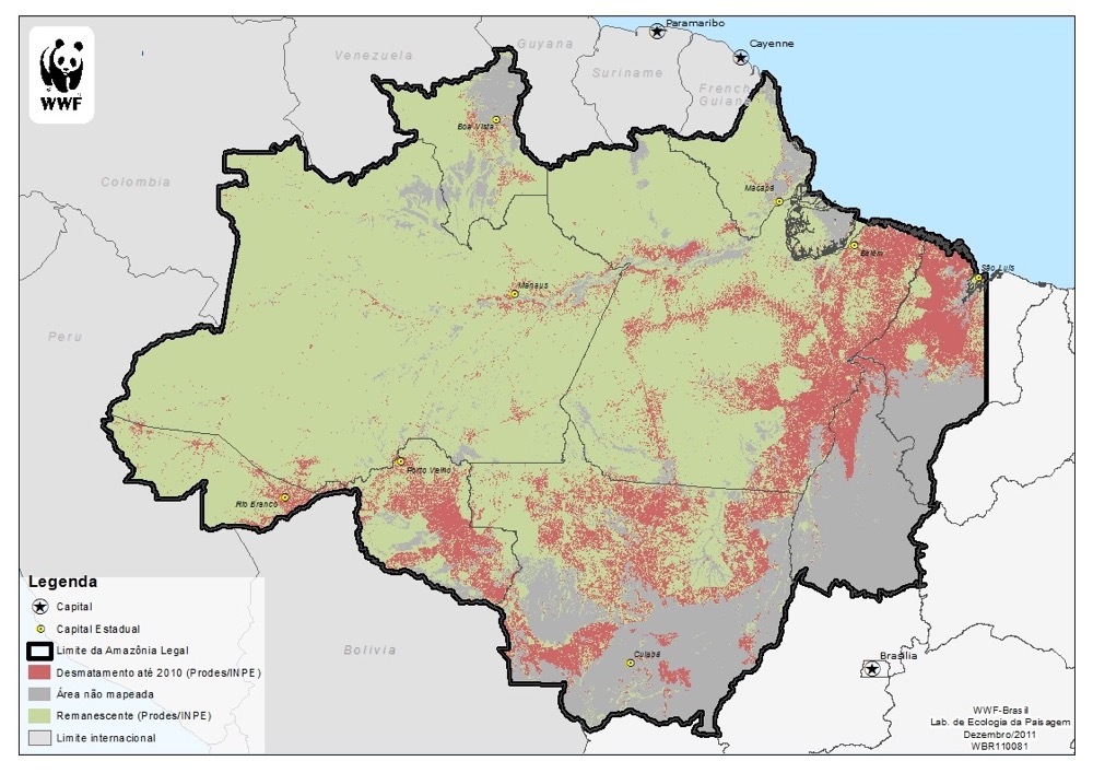 巴西亚马逊雨林损毁情况严峻,亚马逊热带雨林贯穿8个国家
