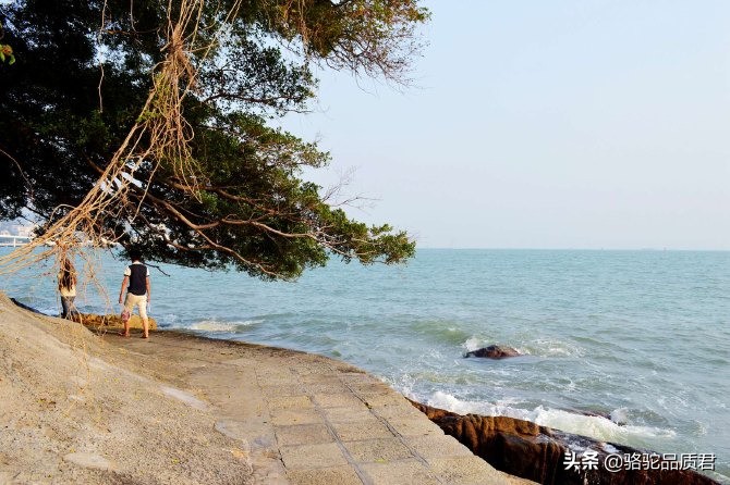 厦门海边之旅,厦门小众旅游体验