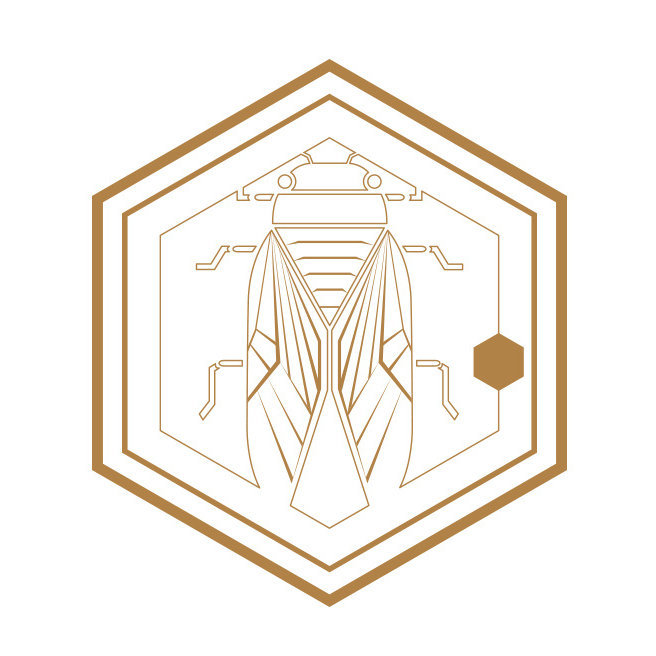 好看手帐社团胶带推荐,便宜又好用的手帐和社团胶带