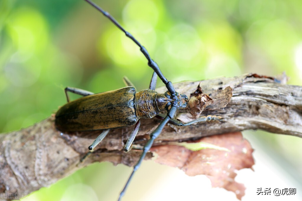 宫斗剧处死女子,宫斗剧残忍下场