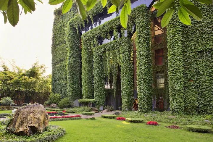 达芬奇设计作品欣赏,设计界的达芬奇