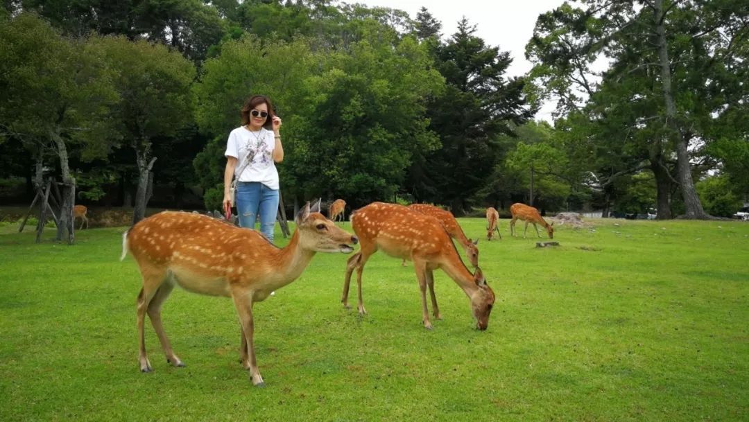 东呈国际首次标杆加盟商日本研习之旅