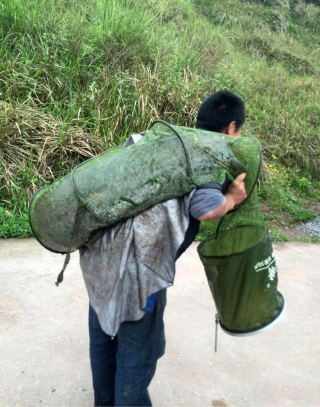 钓鲶鱼用什么饵最好呢,冬季钓鲶鱼的方法和技巧