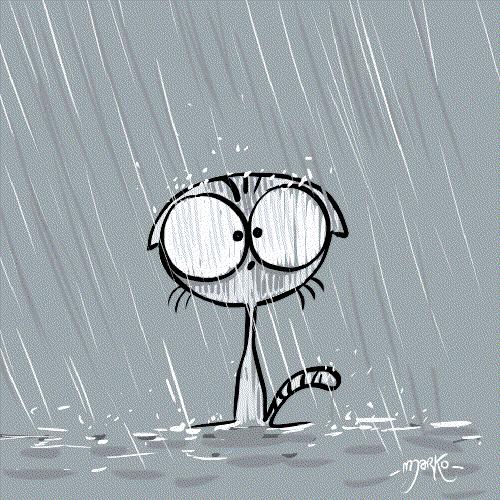 猫砂的100个常识,猫砂成分能被什么反应掉