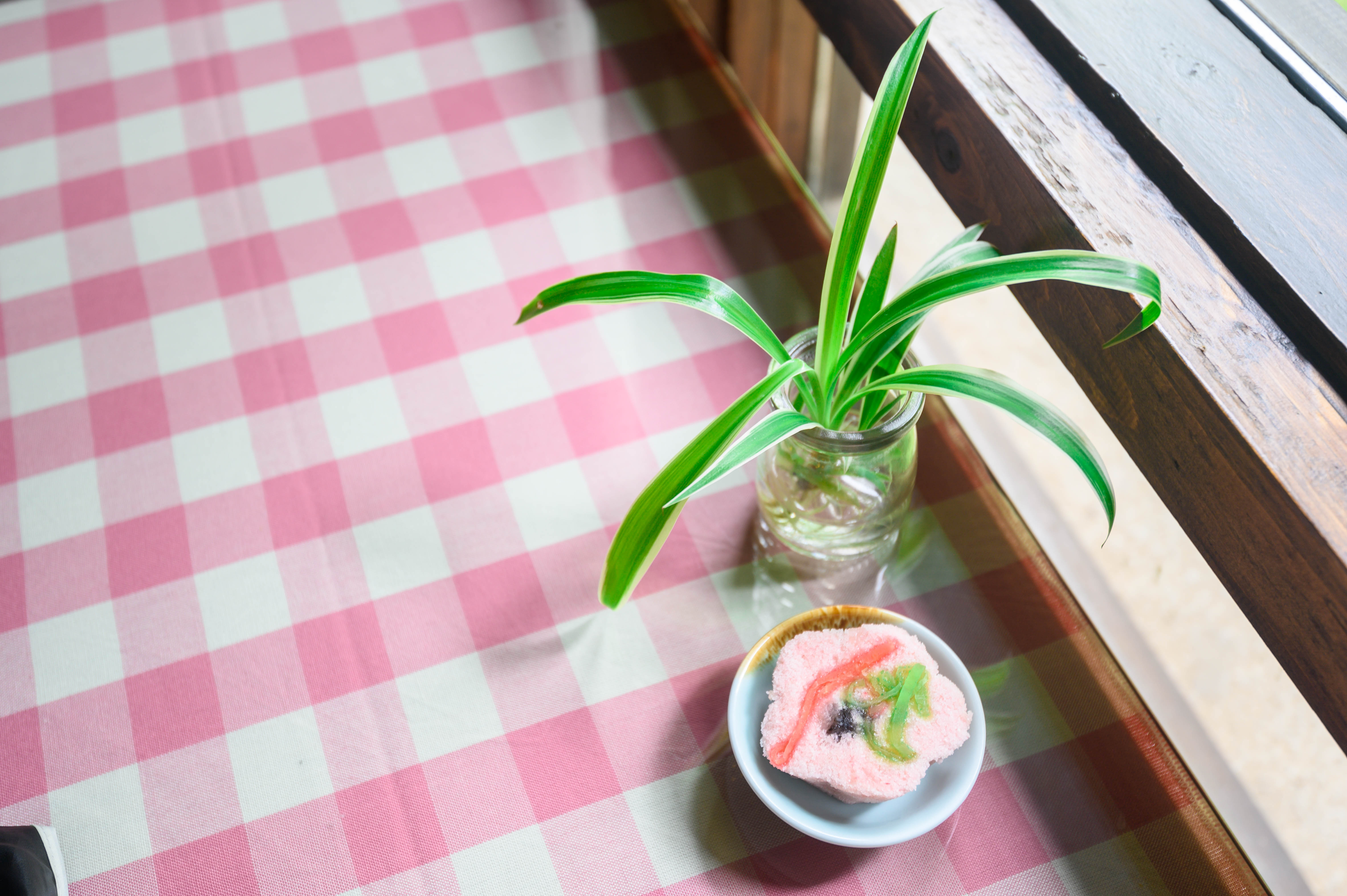 知道乌村吗，孩子来了就不愿离开，住乌村去西栅可以省150元