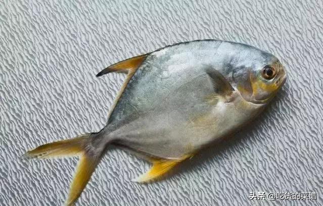 清蒸鱼的正确做法蒸多长时间,清蒸鱼是用热水蒸还是冷水蒸