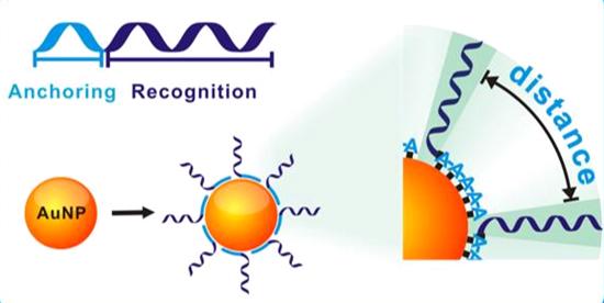 为什么免疫治疗后肿瘤不缩小,为什么免疫治疗不适合胃癌