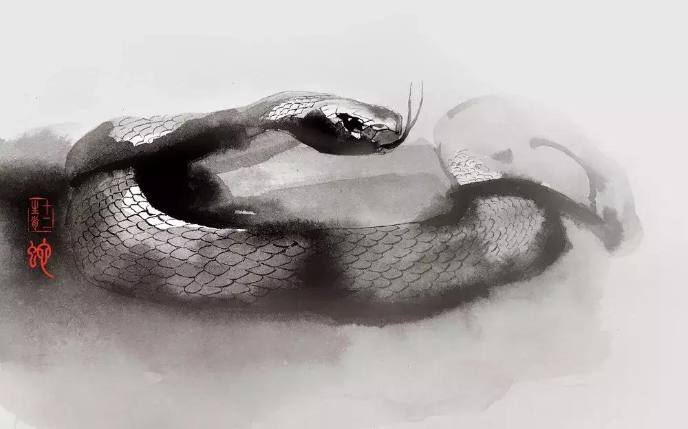 如何破解婚配中的属相不合,怎样破解相克