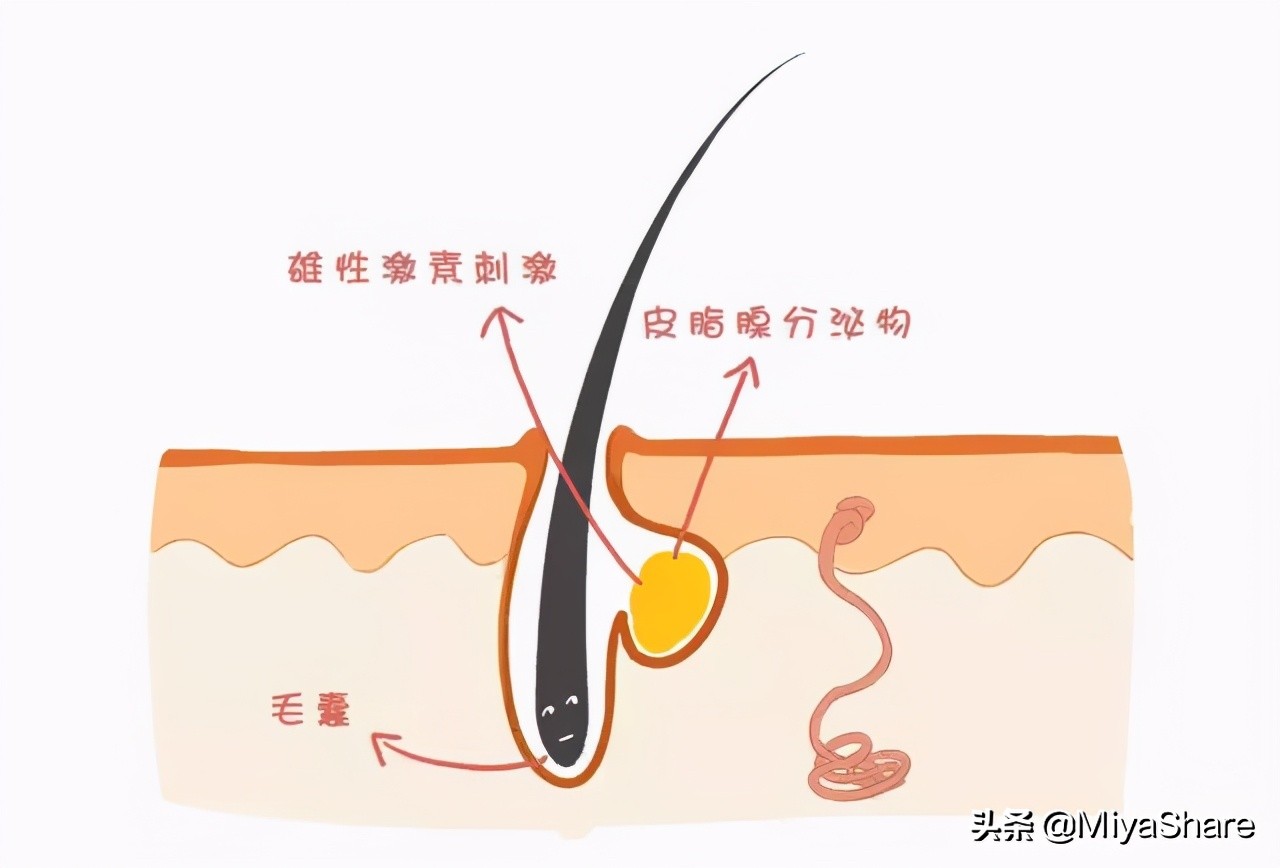皮肤保湿水油平衡点,皮肤水油平衡的做法