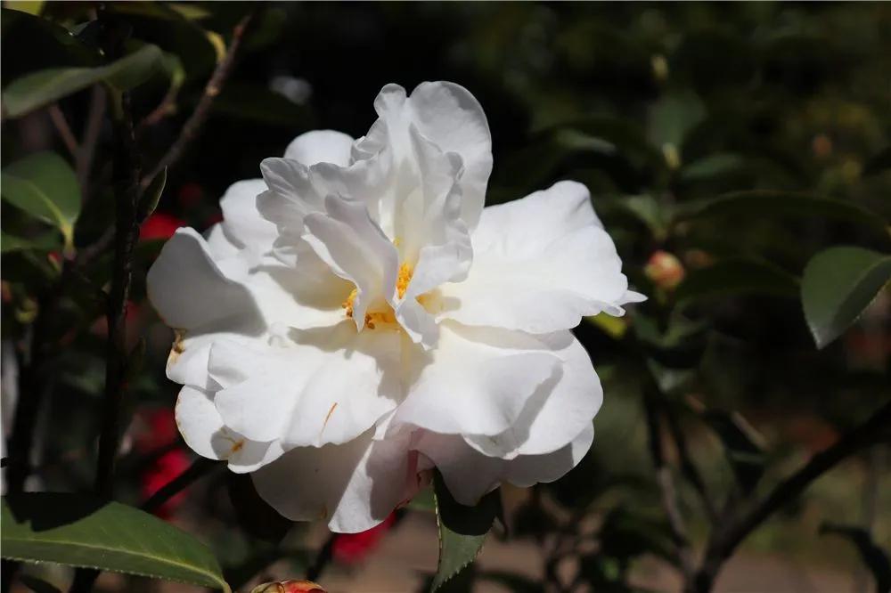 瞧！这花花世界谁不爱