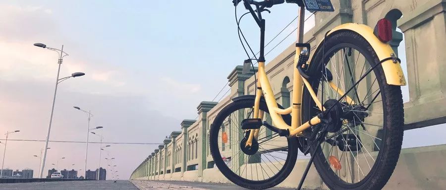 ofo真的能撑到最后吗,ofo硬核翻盘指南