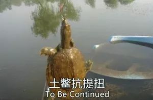 如何把excel导入通讯录,excel通讯录制作方法