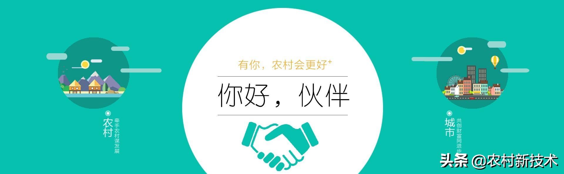 农村电商的未来之路是怎样的呢,农村电商发展的困境有哪些问题