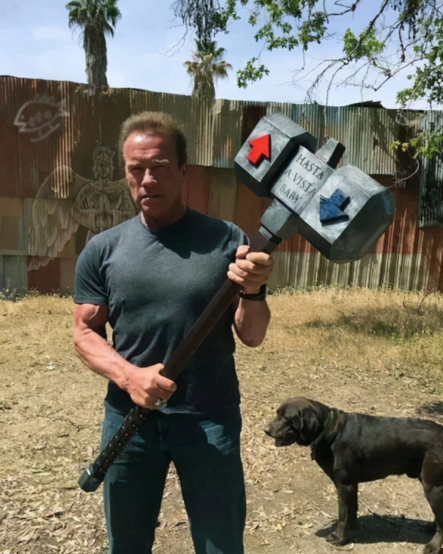 2019爆笑gif动图高清斗图,2019爆笑gif动图高清