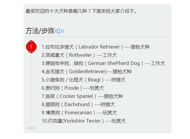 中国最受欢迎的10种狗,最受人喜爱的十种狗