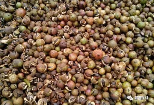 茶油粘锅,茶油炸锅巴