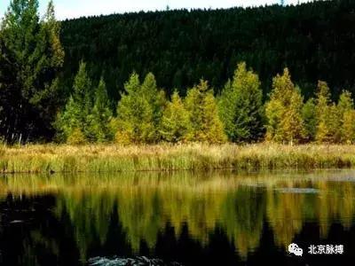 画说回龙观,北京最漂亮的森林公园