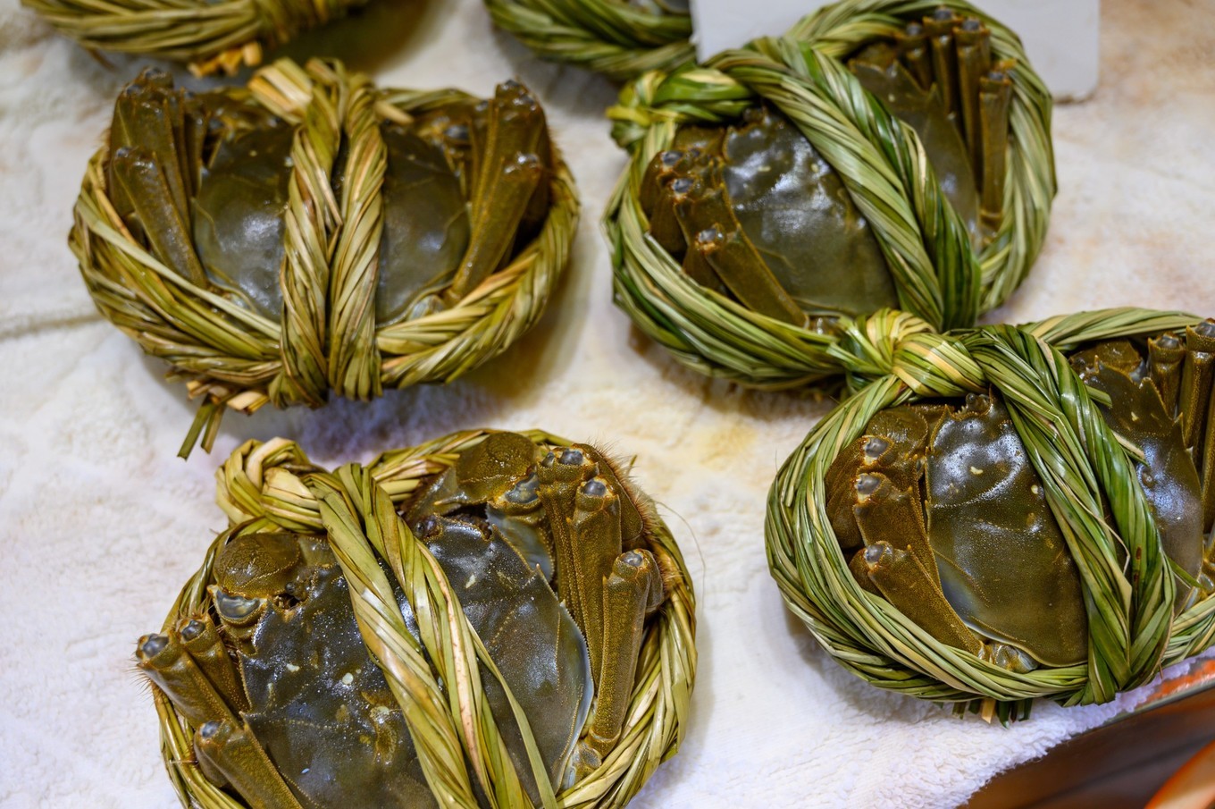 走进南京高淳,打卡网红打卡地固城湾景区,品尝固城湖螃蟹