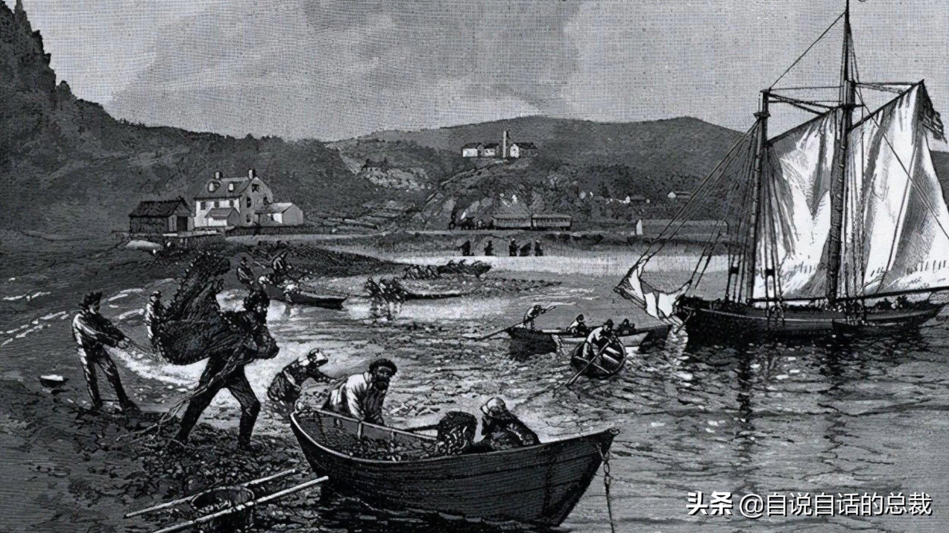 蚶蛤蛏蚬区别,蛤蜊蚶子蛏子区别