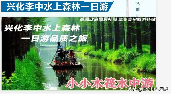 泰州市兴化李中水上森林景区,泰州李中水上森林公园团购