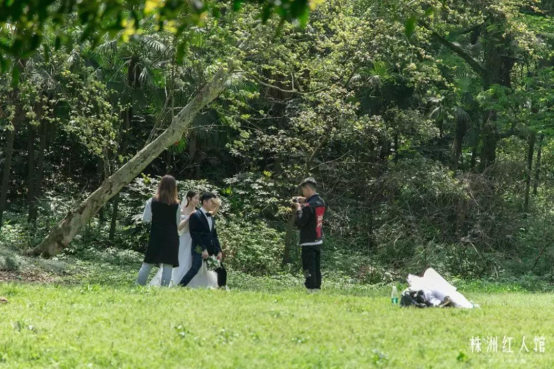 株洲神农公园的传说,株洲神农公园游览图