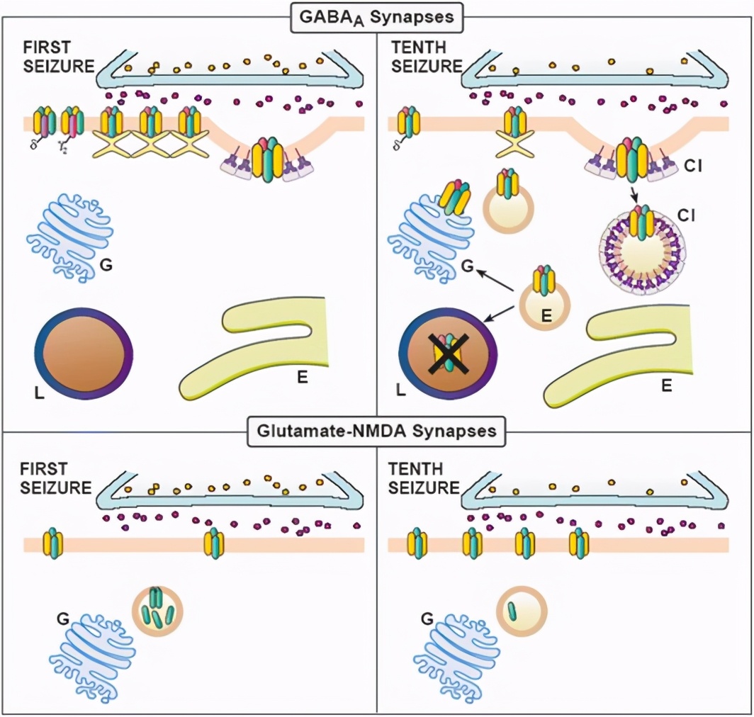 癫痫持续发作首选药物,治疗持续性癫痫首选药物是什么