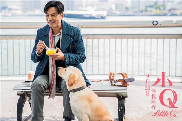 你有被人坚定的选择过吗原视频,你有被人坚定的选择过吗