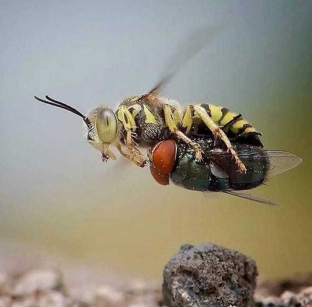 全身发抖照片,浑身发抖的图片