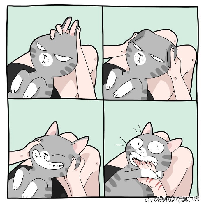 猫主子的日常暹罗猫铲屎官的乐趣,猫吸猫主子的日常