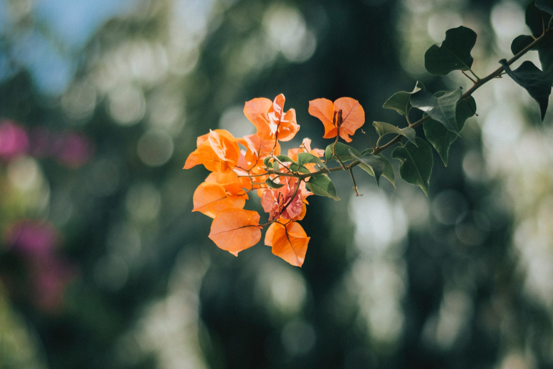 如何成为“有钱人”：做到这八点